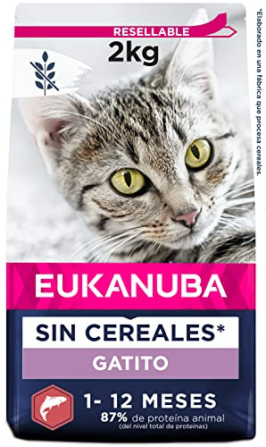 Eukanuba Junior kattmat torr spannmålsfri – premium torrfoder med mycket lax för kattungar, 2 kg