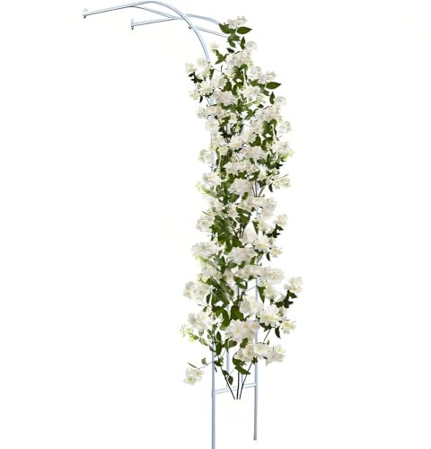 Arche de Jardin pour Plantes grimpantes, Robuste Arche à rosiers, Treillis en métal Demi Arc Tonnelle de Jardin résistante aux intempéries pour rosiers, vignes de glycine 2.4M H(White,2MX2.4M H)