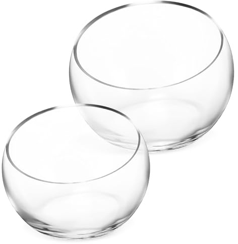 FUTUREORYY 2 pièces Lot de Pots de Fleurs Verre pour Hydroponie Vase Terrarium Transparent Demi-Rond avec Ouverture Incliné Plante Grasse Décoration Intérieure