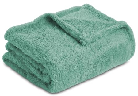 Homebliss Coperta morbida in pile da 220 x 240 cm, matrimoniale, soffice e calda flanella, certificata Oeko-TEX, coperta in pile per divano e letto, coperta morbida, colore: verde acqua