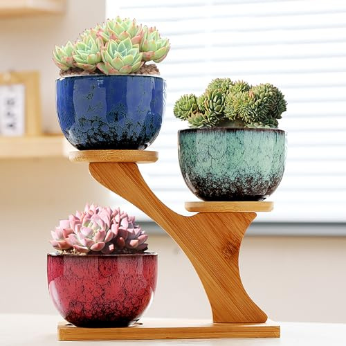 Simcat Ceramic Succulent Plant Pot Set of 3, Succulent Pots with 3 Tier Bamboo Saucers Stand Holder,Small Indoor Plant Pots with Drainage, Plant Gifts for Home Garden Office
