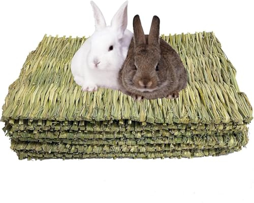 Encuryna Lot de 5 tapis d'herbe à mâcher pour petits animaux - Tapis tissé pour petits animaux - Pour hamsters, lapins, perroquets, cochons d'Inde et furets
