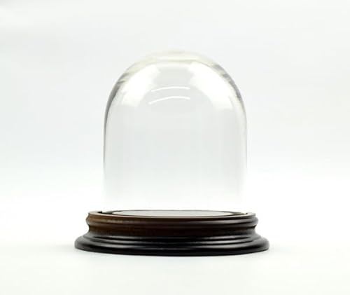 EMH Vintage Look Small Glass Dome With Wooden Base Height 11.5 x 8 cm