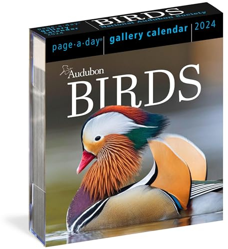 Audubon Birds Page-A-Day Gallery Calendar 2024: Hundreds of Birds, Expertly Captured by Top Nature Photographers
