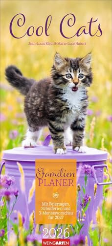 Cool Cats Familienplaner 2026: Großer Foto-Terminkalender mit 5 Spalten für Familien. Schöner Familien-Wandkalender 2026 mit süßen Katzen-Fotos. 22 x 48 cm (Familienplaner Weingarten)