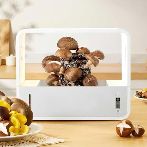 Kit de culture de champignons intelligent,boîte à air entièrement automatique for la culture de champignons avec lumière,stations de propagation de hotte aspirante mycologique, température et humidité