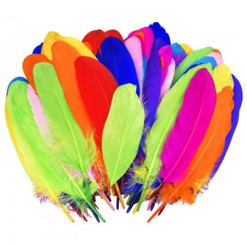 Volumoon 100 Stück Natürliche Bastelfedern, Weich Bunte Federn, Feder Handwerk 15-20CM, Natürliche Gänsefeder für DIY Ohrring,Traumfänger, Hochzeit, Zuhause Dekor, Tischdekoration