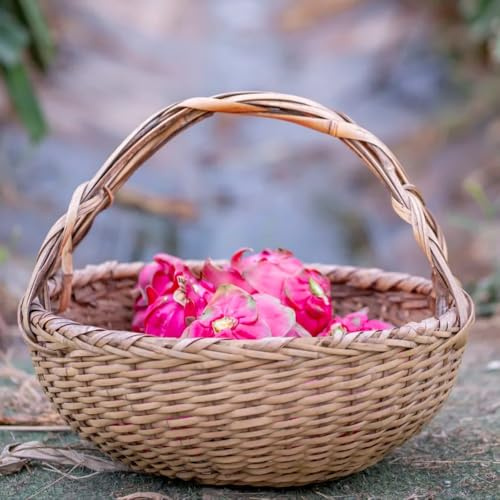 Semillas de la planta de fruta del dragón Jardín decorativo, fácil plantar. jardín, plantas jardín árboles frutales, plantas para lugares soleados Cultivo semillas, decoración 150pcs