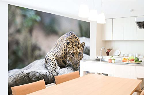 Vlies Fototapete LEOPARD AUF DEM FELSEN 375 x 250 cm (inkl. Kleister) - Vlies Tapete, Wandtapete, Wandbilder - Tapete für Wohnzimmer Schlafzimmer, Büro, Küche - Montagefertig