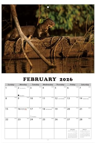Calendario de pared 2026 - Ilustraciones de tema animal, calendario