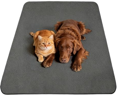 Cleany Mat Hund Pinkelmatte för hundar, PIPI Mattor för hundar & PIPI Pads marsvin - vattentät, snabbt absorberande hundfilt, tvättbar för inkontinens, valpträning (168X125CM*1)
