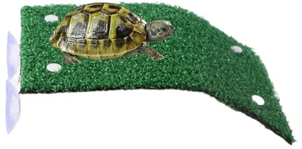 Biniveil Plateforme de Baignade pour Tortues | Îlot Solaire pour Aquarium À Reptiles Domestiques - Aire De Repos Naturelle pour Crabes, Grenouilles, Salamandres Et Amphibiens