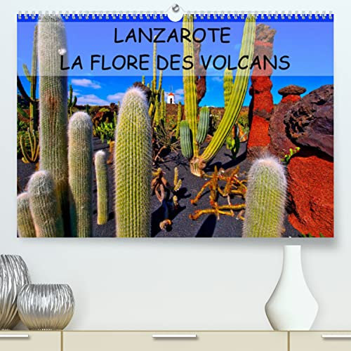 LANZAROTE LA FLORE DES VOLCANS (Premium, hochwertiger DIN A2 Wandkalender 2023, Kunstdruck in Hochglanz): LANZAROTE DES CHAMPS DE LAVE NATURELLEMENT FERTILES (Calendrier mensuel, 14 Pages )
