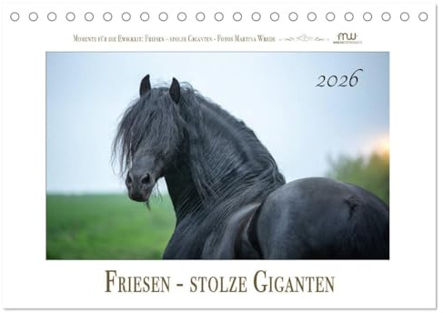 Friesen - stolze Giganten (Tischkalender 2026 DIN A5 quer), CALVENDO Monatskalender: Friesen - schwarze Pferdeschönheiten (CALVENDO Tiere)