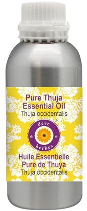 Deve Herbes Pure Thuja Essential Oil (Thuja occidentalis) Non-Sticky | Non-Greasy | Strong Woody Aroma | for Aromatherapy, Massage, Diffuser & Blends 630ml
