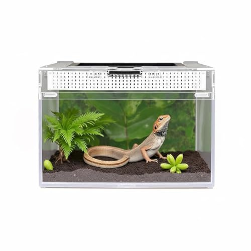 Caja de Alimentación de Insectos, Caja de alimentación para Reptiles, Estuche de Cría de Reptiles para lagartos, arañas, Ranas de Cuernos y escarabajos,Terrario para Reptil/Anfibios (8 * 8 * 7inch)