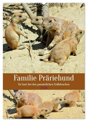 Familie Präriehund (Wandkalender 2026 DIN A2 hoch), CALVENDO Monatskalender: Zu Gast bei den possierlichen Erdhörnchen (CALVENDO Tiere)