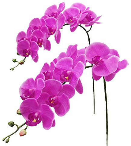 Fnize Artificial Orchid Stems Real Touch Latex Phalaenopsis Branches Faux Cymbidium Flowers 9 Large Petals 38 Inches 2pcs (Rose red)