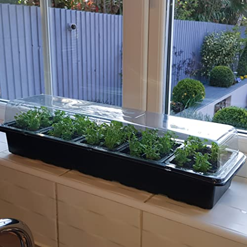 YouGarden - 3 x PlantPak Windowsill Propagator Kit, Indoor Greenhouse, Set of 3, for 90 Plants or Seeds Perfect to Start Off Your Seeds and Plugs Indoors