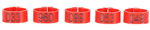 Vogel-Clip-Ring, Wiederverwendbarer Kunststoff-Tauben-Identifikationsring 001–100 Nummerierter Taubenring für Tauben (12 mm roter Ring mit Worten)