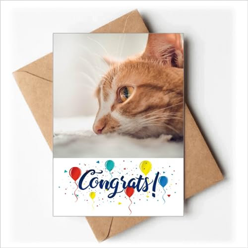 Tier Reine Katze Foto Bild Hochzeit Karten Glückwunsch Gruß Umschläge