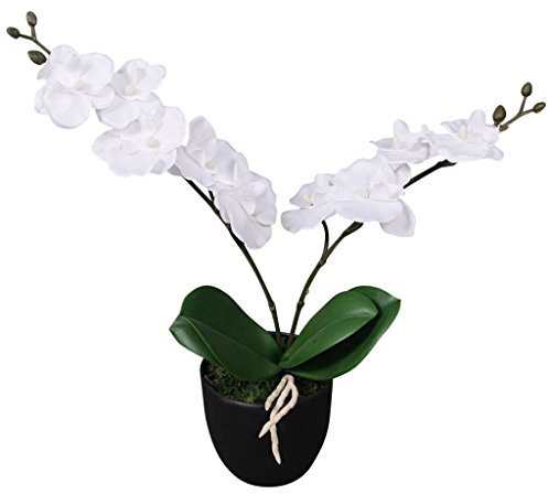Sufrk Artificial Orchid Plant with Pot 30 cm White,Artificial Trees Outdoors Cycas Palm Tree Areca Tree Phoenix Fern Tropcial Decorative Fake Plants in Pot for Indoor Outdoor Garden