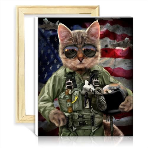 LiHEQING Kit de pintura al óleo sobre lienzo de gato, piloto de la fuerza aérea, kit de pintura por números, proyectos para decoración del hogar, regalos, marco de bricolaje (30 x 40 cm)