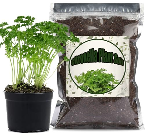 GOTVUGE Citronella Plant Potting Soil Mix, Ready to Use for Seedling and Growing of Citronella Plants or Other Indoor Herbs (2L)