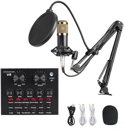 PETSTIBLE V8 Soundkarte BM800 Kondensatormikrofon-Set Einstiegskarte Mikrofon-Set Professioneller Audio-Mixer Tragbare Konsole (V8-BM800 Kit)