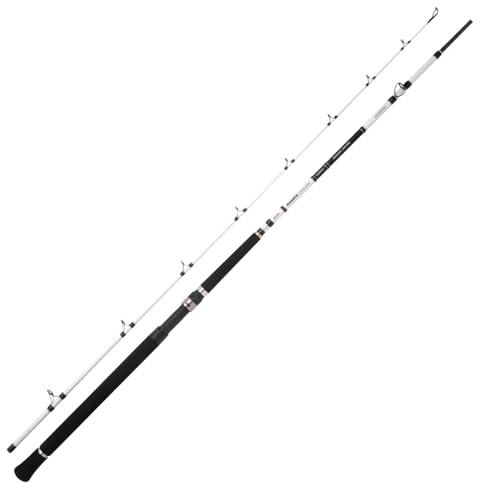 Spro Salty Beast Nano Mega Jig BC 240cm 450g - Meeresrute, Baitcasterrute, Spinnrute, Pilkrute, Salzwasserrute, Rute zum Hochseeangeln, Jigrute