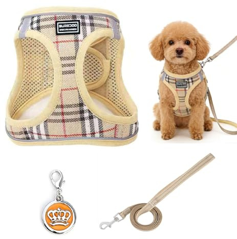LOLANIUT Arnés Perro pequeño, Talla XL para Contorno de Pecho 50–56 cm y Cuello 39–43 cm, arnes Perro antitirones Ajustable y Transpirable con Correa, diseño Step-in Reflectante