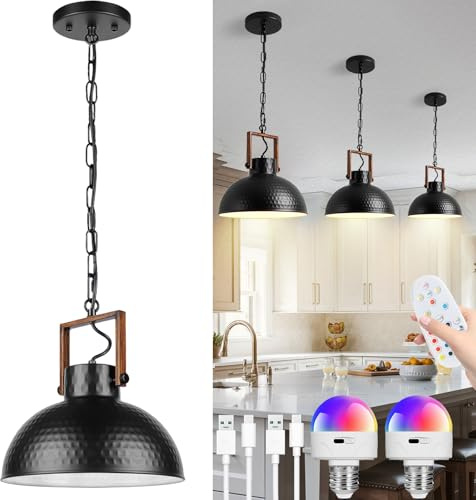 TRUYOK E27 Hängelampe mit Fernbedienung LED Akku Hängeleuchte RGB Moderne Batterie Deckenleuchte Dimmbar Deckenlampe aus Metall Pendelleuchte für Schlafzimmer Esszimmer Küche Restaurant