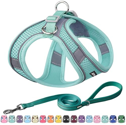 AIITLE Step-in-Hundegeschirr atmungsaktiv reflektierend, Reines Türkis XL | Verstellbar, Quick-Release-Schnalle, No-Pull-Design, atmungsaktives Mesh, für mittlere & große Hunde, Spaziergänge & Training
