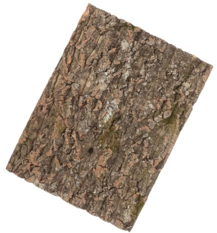 COSMEVIVI Safe Reptile Supply Korkrinde Für Reptilien Schildkröten Eidechsen Kletterhintergrund 20 X 30 cm Aquarium-