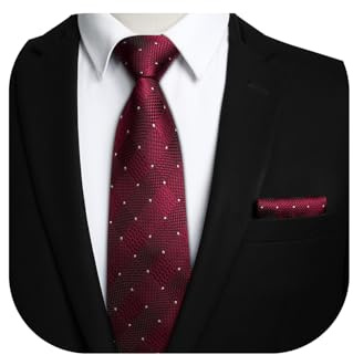 HISDERN Herren Krawatte mit Einstecktuch Karierte Formelle Klassische Hochzeit Herrenkrawatte und Taschentuch Set für Männer