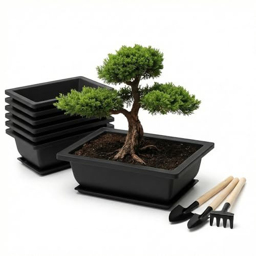 ULISSE 6 ciotole per bonsai sottovaso Rettangolari, 16,5 x 12 x 6 cm, riutilizzabili ecosostenibili per bonsai, vaso per piante, per giardini, uffici, soggiorno, balconi
