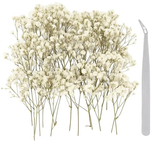 Schleierkraut Getrocknet, 100 Stück Trockenblumen Zum Basteln Mit Präzisionspinzette, Getrocknete Blumen Für DIY Hochzeitsdeko Und Harzschmuck, Weiße Schleierkrautblüten Mit 100 mm Biegewerkzeug