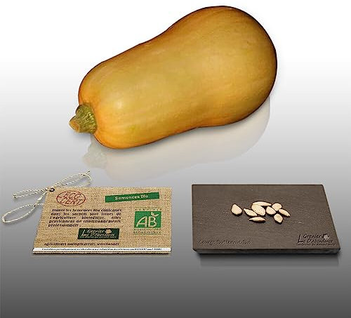 8 graines Bio à semer - Le Grenier d'Abondance - COURGE BUTTERNUT - Certifié AB - Cucurbita moschata