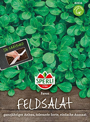 Feldsalat Favor | 5m Saatband für rund 250 Feldsalat Samen