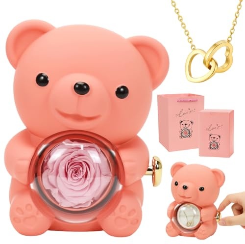 Meleager Ewige Rosen Bär Geschenkbox mit Halskette,Rosenbär Box Geschenk,Ewige Rosenbox für Frauen,Valentinstag, Muttertag, Jubiläum,Geburtstagsgeschenke（Rosa）, A78-5