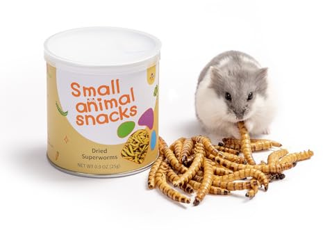 Niteangel Small Animal Snack & Treats - Small Critter Natural Treat for Dwarf Syrian Hamsters Gerbils Mice Sugar Glider Hedgehogs Chickens Birds (Dried Worms- 0.9oz (25g))
