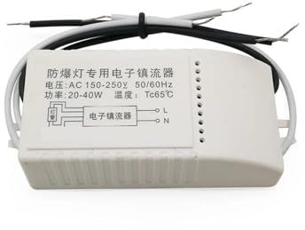 balasto electrónico 20W 30W 40W lámpara universal balastro electrónico dedicado AC150-250V entrada rectificador especial T5