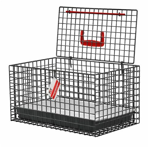 MDC Cat Carrier with Top Opening – Lightweight Mesh Pet Travel Crate for Vet Visits, Cats & Kittens – Breathable, Easy Clean Cat Basket with Handle – Secure & Spacious Cat Crate for Travel, Clear