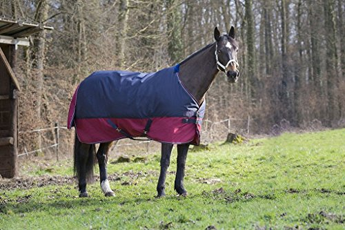 Pferdedecke Outdoor Decke Equitheme TYREX 1200 Denier Nylon Innenfutter, wasserdicht, atmungsaktiv, Kreuzgurte usw. 145 cm