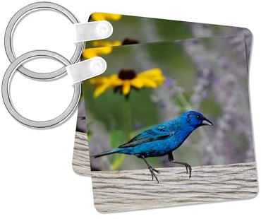 3dRose, Indigo Bunting male on fence near Black-eyed Susan and Russian Sage, set of 2 Key Chains
