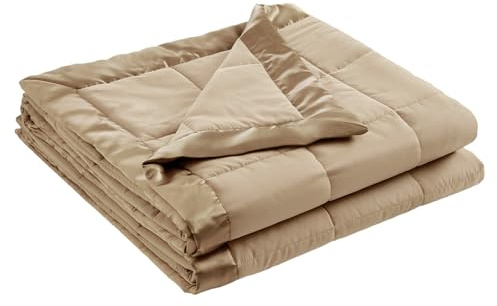Madison Park Down Alternative Queen Blanket for Bed, Satin Trim, Brown