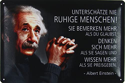 Blechschild 20x30cm gewölbt Unterschätze nie ruhige Menschen Einstein