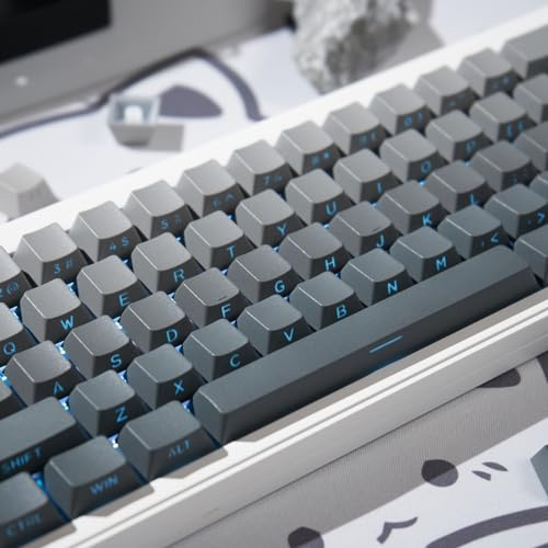 PBT Doubleshot Tastenkappen 134 Tasten Gradient Gray Backlit OEM Profil Tastenkappen Full Set Custom Keyboard Tastenkappen für Cherry Gateron MX Schalter Mechanische Tastatur