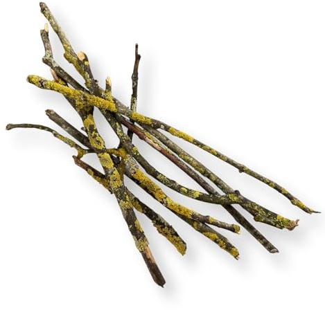 Schneckenfutter-Buffet Äste mit Flechten 400g 15-35cm gemischte Längen Kletterhilfen für Achatschnecken Landschnecken Asseln Terrarium Dekoration Einrichtung unbehandelt