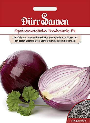 Dürr-Samen - Speisezwiebeln Redspark F1 Saatgut